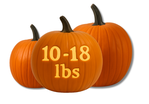 Traditional Basketball (Carving)