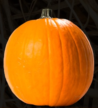 Traditional Beach Ball