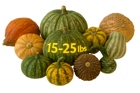 Autumn Heirloom Gourd