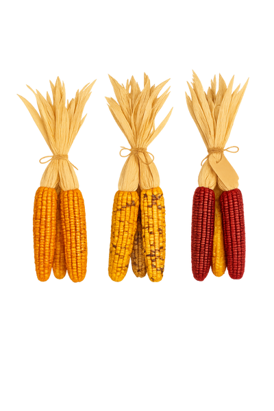 Large Indian Corn Bundle