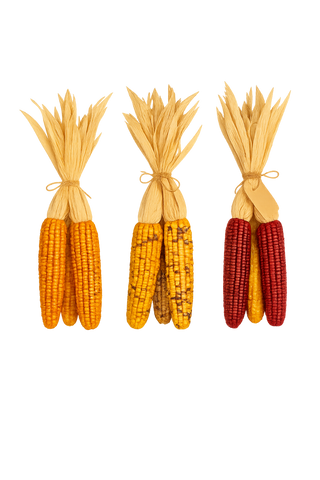 Large Indian Corn Bundle