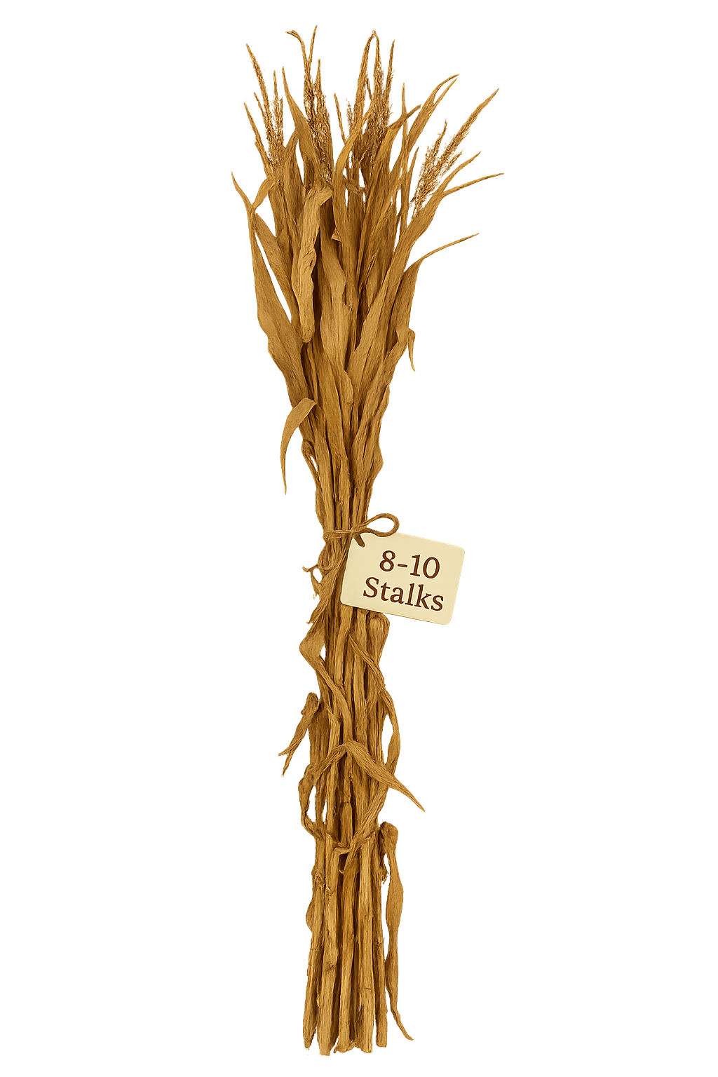 Corn Stalk Bundle