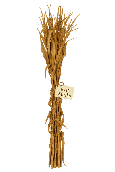 Corn Stalk Bundle
