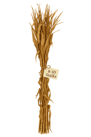 Corn Stalk Bundle