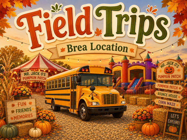 School Field Trip