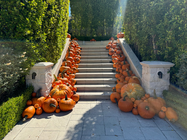 The Custom Porch Display