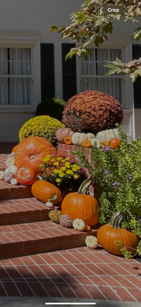 The Custom Porch Display