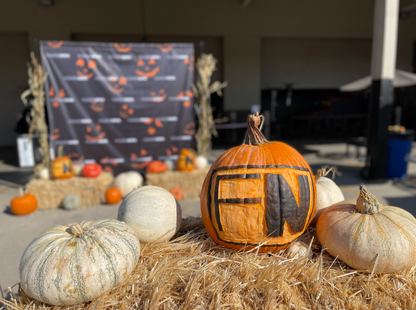 Custom Carved Pumpkin