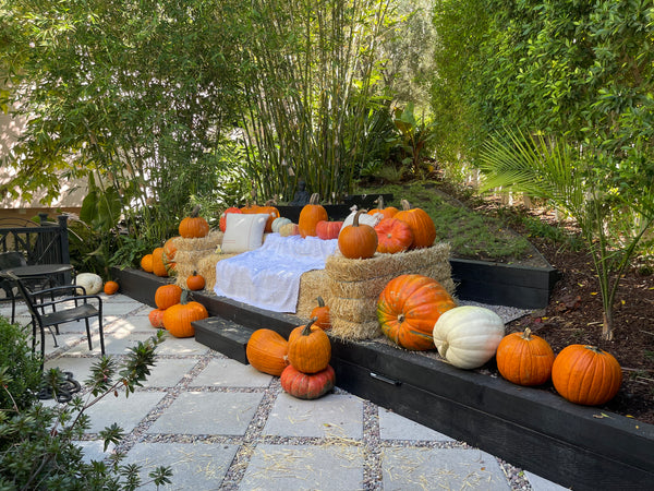 The Custom Porch Display