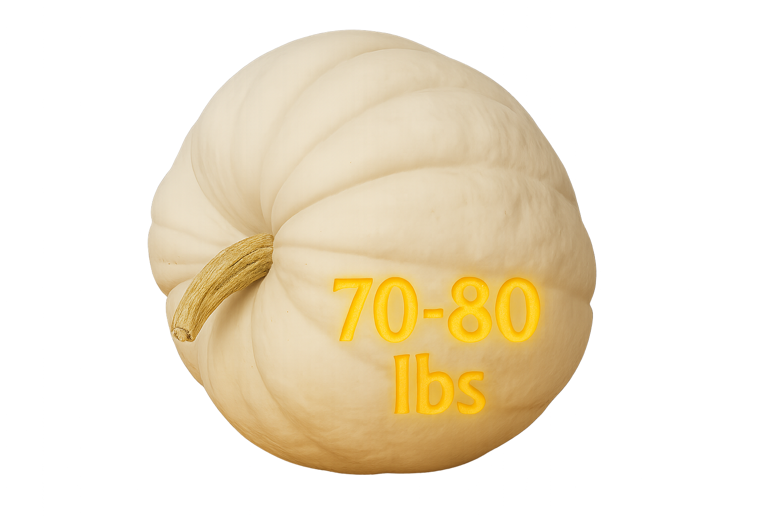 Polar Bear Pumpkin