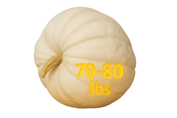 Polar Bear Pumpkin