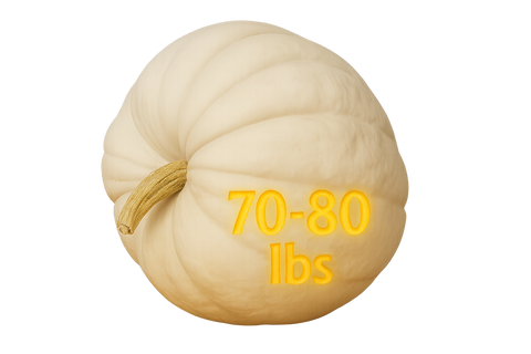 Polar Bear Pumpkin