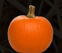 Traditional Cantaloupe