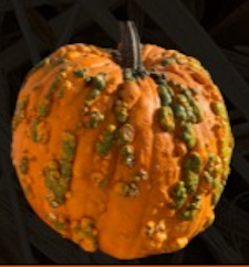 Witch Pumpkin