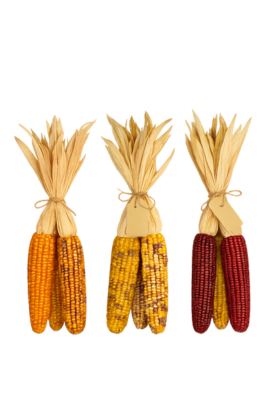 Small Indian Corn Bundle
