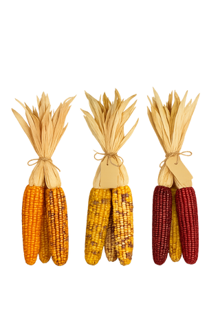 Small Indian Corn Bundle