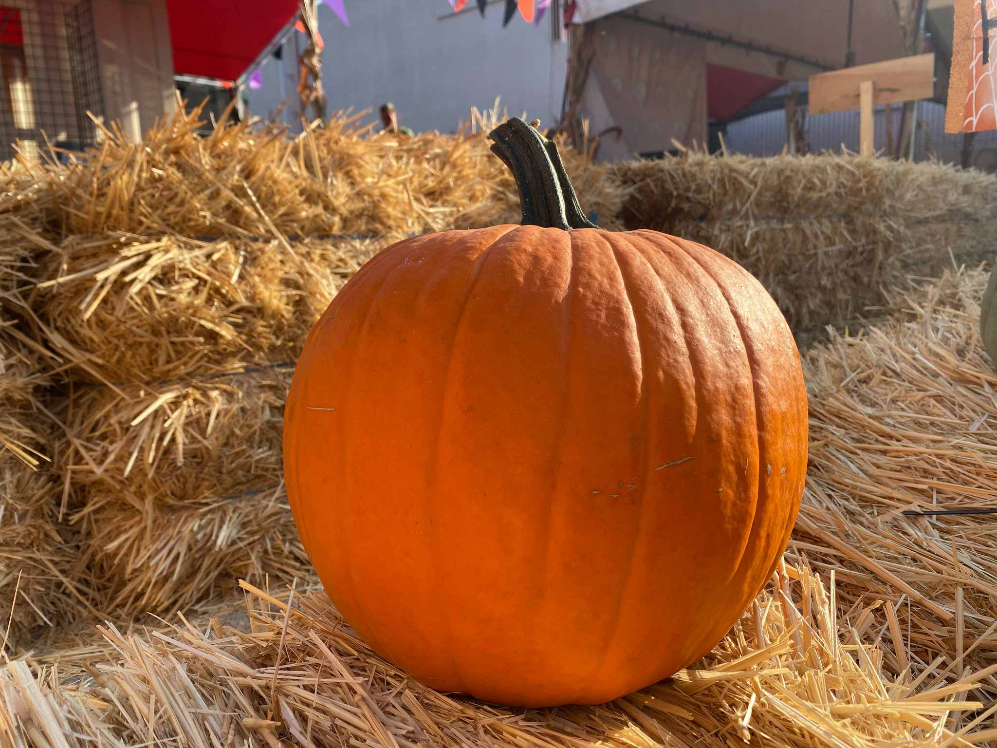 Traditional Basketball (Carving Pumpkin) - Farmers market