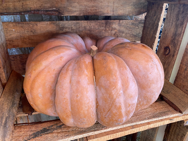 Cinderella Fairytale Pumpkins - West LA