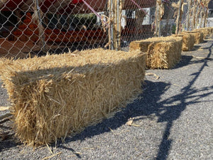 Hay Bales - La Jolla