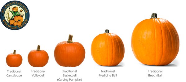 Traditional Basketball (Carving Pumpkin) - Farmers market